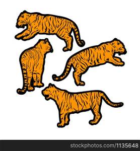 tigers wild cat vector set. Orange Bengal Tiger Animals Icons for Print or Tattoo Design. Hand-drawn Freehand Zoo Illustration. Art Drawing of Isolated Circus Animal. Tigers wild cat vector set. Orange Safari Tiger Animals Icons