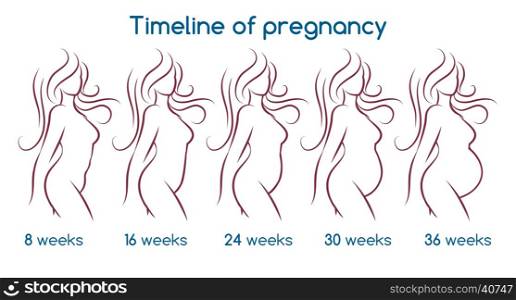 Timeline of pregnancy. Timeline of pregnancy with line woman silhouette. Vector illustration