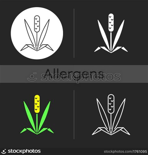Timothy grass dark theme icon. Herbal allergen. Cause of allergic reaction. Wild field foliage. Allergy for plant. Linear white, simple glyph and RGB color styles. Isolated vector illustrations. Timothy grass dark theme icon