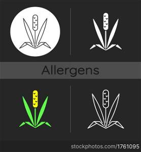 Timothy grass dark theme icon. Herbal allergen. Cause of allergic reaction. Wild field foliage. Allergy for plant. Linear white, simple glyph and RGB color styles. Isolated vector illustrations. Timothy grass dark theme icon