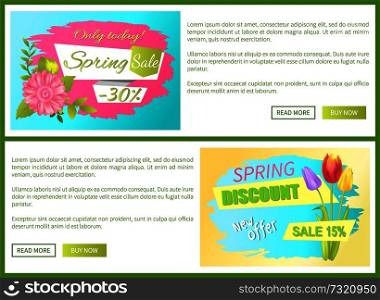 Today discount 30 off advertisement sticker colorful bouquet with three tulips and daisy flowers vector illustration spring collection sale web posters. Today Discount 30 Off Sdvertisement Stickers Sale