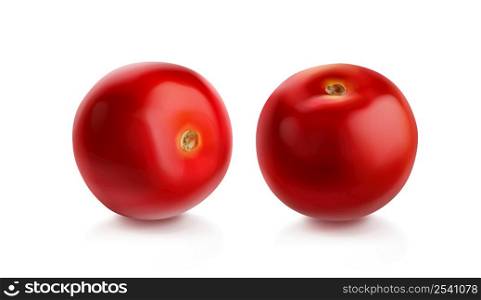 Tomato cherry, two red tomatoes different view, realistic vector illustration isolated on white background. Ripe pomodoro, raw organic vegetable. Tomato cherry, red tomatoes different view