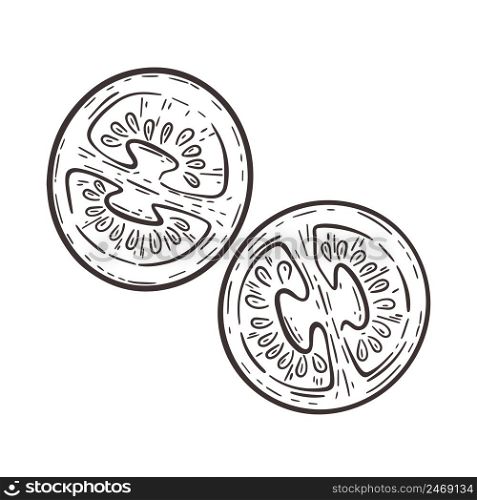 Tomato cut in half hand engraving. Tomato parts isolated vector sketch. Vegetable vintage image organic healthy food
