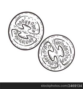 Tomato cut in half hand engraving. Tomato parts isolated vector sketch. Vegetable vintage image organic healthy food
