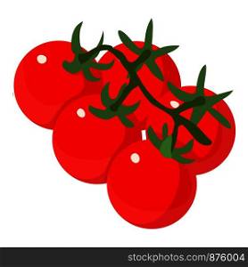 Tomato icon. Isometric illustration of tomato vector icon for web. Tomato icon, isometric 3d style