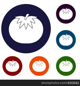 Tomato icons set in flat circle reb, blue and green color for web. Tomato icons set