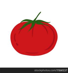 Tomato in hand drawn style isolated on white background. Fresh organic ingredient. Doodle vegetable. Vegetarian healthy food. Vector illustration. Tomato in hand drawn style isolated on white background.