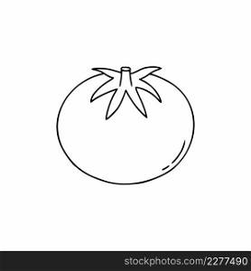 Tomato in the style of Doodle. Contour illustration in the style of hand drawing