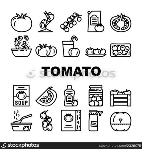 Tomato Natural Bio Ingredient Icons Set Vector. Tomato Vitamin Vegetable For Prepare Salad And Fresh Juice, Receipt Book For Cooking Delicious Dish And Drink, Sauce Soup CBlack Contour Illustrations. Tomato Natural Bio Ingredient Icons Set Vector