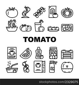 Tomato Natural Bio Ingredient Icons Set Vector. Tomato Vitamin Vegetable For Prepare Salad And Fresh Juice, Receipt Book For Cooking Delicious Dish And Drink, Sauce Soup CBlack Contour Illustrations. Tomato Natural Bio Ingredient Icons Set Vector