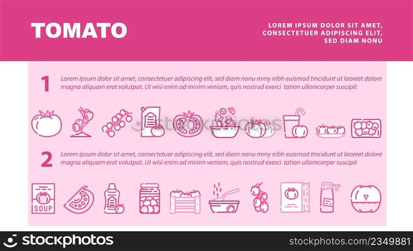Tomato Natural Bio Ingredient Landing Web Page Header Banner Template Vector. Tomato Vitamin Vegetable For Prepare Salad And Fresh Juice, Receipt Book For Cooking Delicious Dish And Drink Illustration. Tomato Natural Bio Ingredient Landing Header Vector