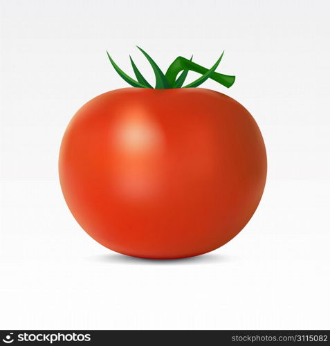 Tomato on a white background