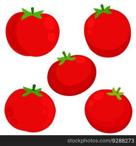 Tomato. Red vegetable. Harvest and vegetarian food. Set of Flat cartoon illustration isolated on white. Tomato. Red vegetable