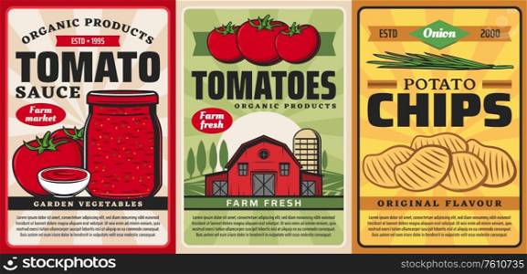 Tomato sauce ketchup and potato chips, farm food products vector retro vintage posters. Organic farming agriculture, garden vegetables and bio products from tomatoes and potatoes. Tomato sauce ketchup, potato chips, farm food