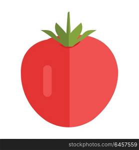 Tomato vector in flat style design. Vegetable illustration for conceptual banners, icons, app pictogram, infographic, and logotype elements. Isolated on white background. . Tomato Vector Illustration in Flat Style Design. red