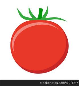 tomato vegetable food flat icon vector illustration isolated on white background
