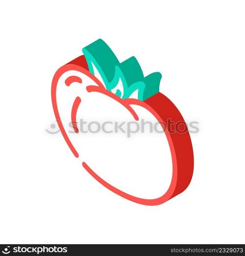 tomato vegetable isometric icon vector. tomato vegetable sign. isolated symbol illustration. tomato vegetable isometric icon vector illustration