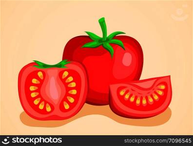 Tomato vegetables half and slice. Vector Illustration