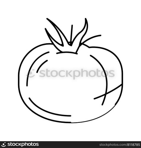 tomato vitamin vegetable line icon vector. tomato vitamin vegetable sign. isolated contour symbol black illustration. tomato vitamin vegetable line icon vector illustration