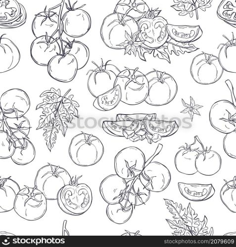 Tomatoes. Hand drawn vegetables on white background. Vector seamless pattern.. Hand drawn tomatoes. Vector pattern