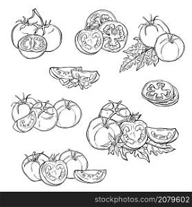 Tomatoes. Hand drawn vegetables on white background. Vector sketch illustration.. Hand drawn tomatoes. Vector sketch illustration.