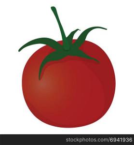 Tomatoes icon. Flat color design. Vector illustration.
