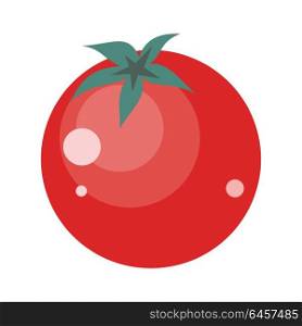 Tomatoes Isolated. Healthy Nutrition.. Tomatoes isolated. Editable element for your design. Grocery store assortment, healthy nutrition. For icons, ad, infographics. Part of series of fruits and vegetables in flat style. Vector