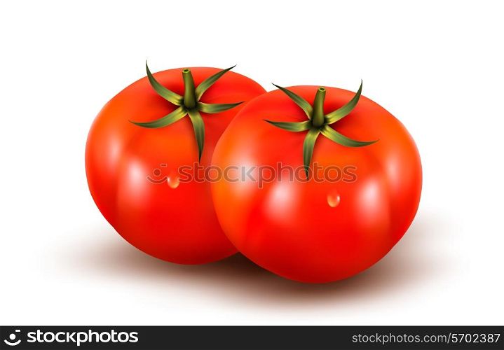 Tomatoes isolated on on white background. Photo-realistic vector illustration.
