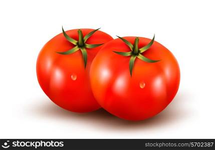 Tomatoes isolated on on white background. Photo-realistic vector illustration.