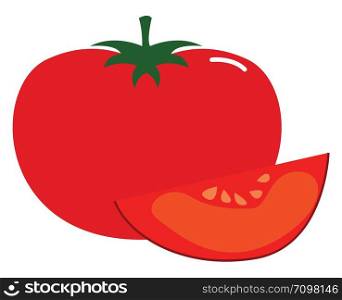 Tomatoes slice, illustration, vector on white background.