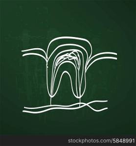 tooth anatomy chalk painted on the chalkboard vector illustration