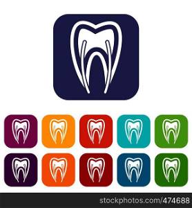 Tooth cross section icons set vector illustration in flat style In colors red, blue, green and other. Tooth cross section icons set