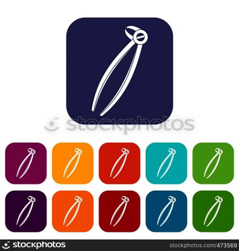 Tooth dentist forceps icons set vector illustration in flat style In colors red, blue, green and other. Tooth dentist forceps icons set flat