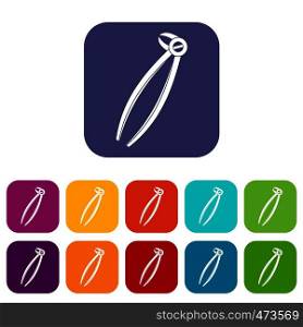 Tooth dentist forceps icons set vector illustration in flat style In colors red, blue, green and other. Tooth dentist forceps icons set flat