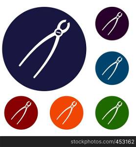 Tooth extraction instrument icons set in flat circle reb, blue and green color for web. Tooth extraction instrument icons set
