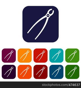 Tooth extraction instrument icons set vector illustration in flat style In colors red, blue, green and other. Tooth extraction instrument icons set