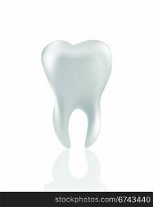 Tooth Isolated on white