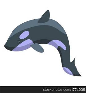 Toothy killer whale icon. Isometric of Toothy killer whale vector icon for web design isolated on white background. Toothy killer whale icon, isometric style