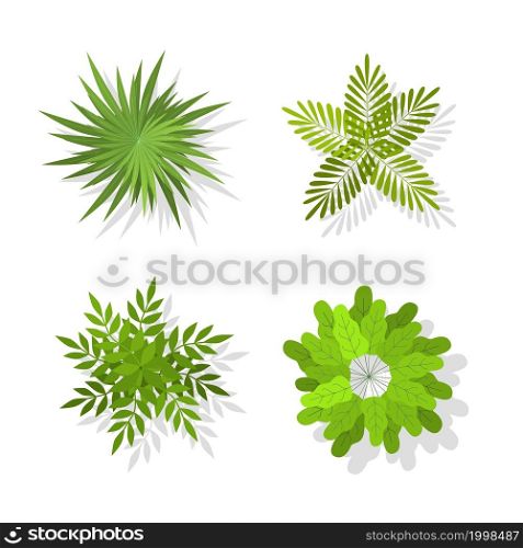 Top trees and bushes. Landscape green elements for design. Exotic tree icons, summer planting organic eco symbols, park and forest tropical botanical objects, garden decoration. Vector isolated set. Top trees and bushes. Landscape green elements for design. Exotic tree icons, summer planting organic eco symbols, park and forest tropical botanical objects. Vector isolated set