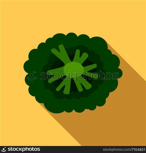 Top view broccoli icon. Flat illustration of top view broccoli vector icon for web design. Top view broccoli icon, flat style