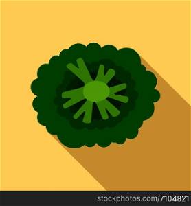 Top view broccoli icon. Flat illustration of top view broccoli vector icon for web design. Top view broccoli icon, flat style