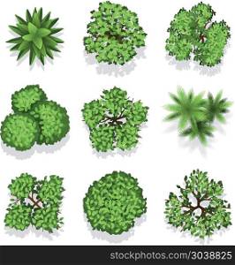 Top view different plants and trees vector set for architectural or landscape design. Top view different plants and trees. Vector set of trees for architectural or landscape design. Illustration green trees for garden