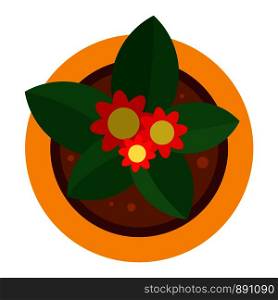 Top view flower pot icon. Flat illustration of top view flower pot vector icon for web design. Top view flower pot icon, flat style