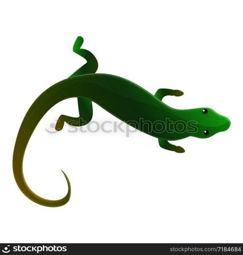 Top view lizard icon. Cartoon of top view lizard vector icon for web design isolated on white background. Top view lizard icon, cartoon style