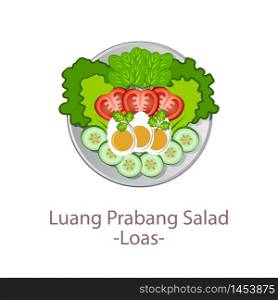 top view of popular food of ASEAN national,Luang Prabang Salad,in cartoon vector design
