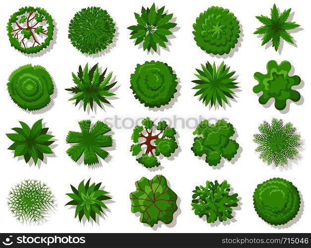 Top view plants. Tropical trees, green plant tree from above for aerial map. Garden landscape plan, planting tops or forest tree top isolated vector icons collection. Top view plants. Tropical trees, green plant tree from above for aerial map isolated vector collection