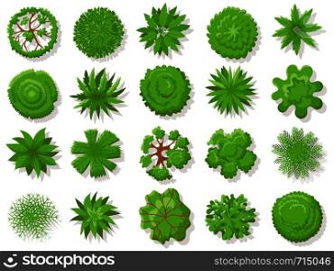 Top view plants. Tropical trees, green plant tree from above for aerial map. Garden landscape plan, planting tops or forest tree top isolated vector icons collection. Top view plants. Tropical trees, green plant tree from above for aerial map isolated vector collection