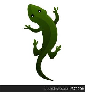 Top view reptile icon. Cartoon of top view reptile vector icon for web design isolated on white background. Top view reptile icon, cartoon style
