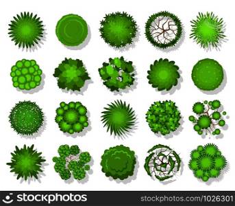 Top view tree. Aerial landscape green planting, park map vegetation and tropical forest plan elements from above vector garden designing topview for landscaping set. Top view tree. Aerial landscape green planting, park map vegetation and tropical forest plan elements from above vector set