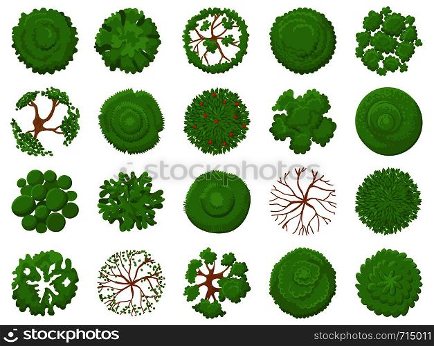 Top view tree. Planting green trees, park map vegetation and tropical forest maps viewing from above. Landscape garden tree planting design vector illustration isolated icons set. Top view tree. Planting green trees, park map vegetation and tropical forest maps viewing from above vector illustration set